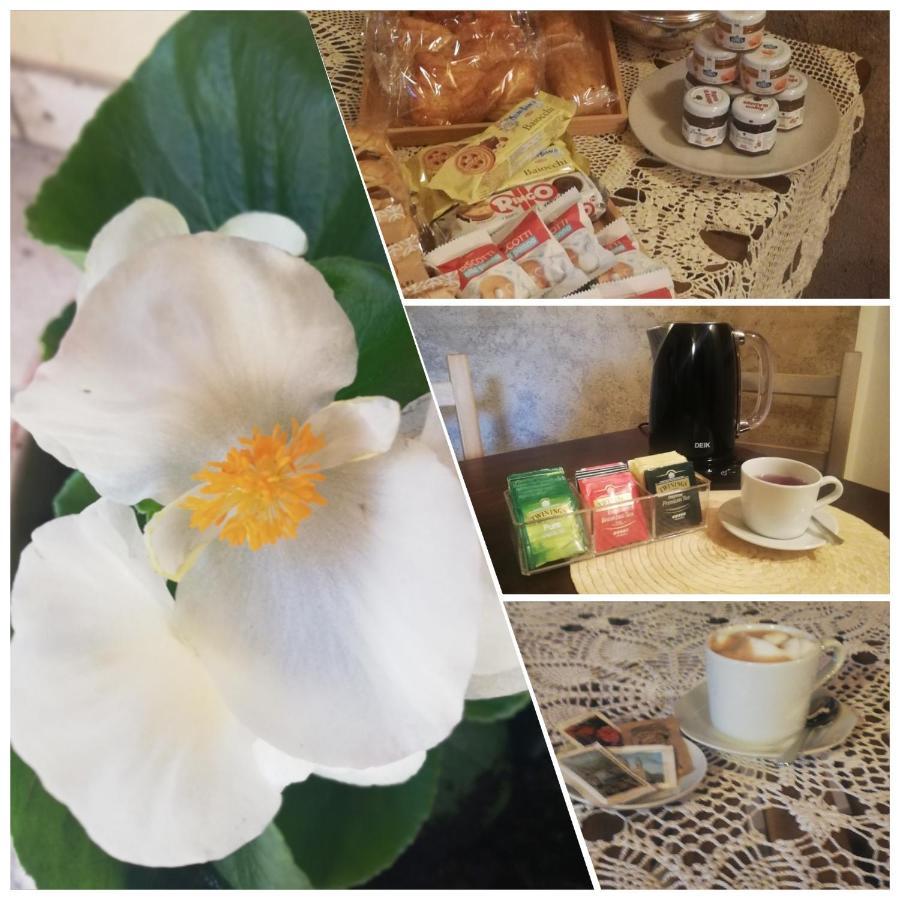 Bed & Breakfast Barbara Borgo Grotta Gigante 외부 사진