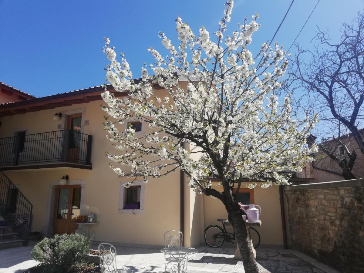 Bed & Breakfast Barbara Borgo Grotta Gigante 외부 사진